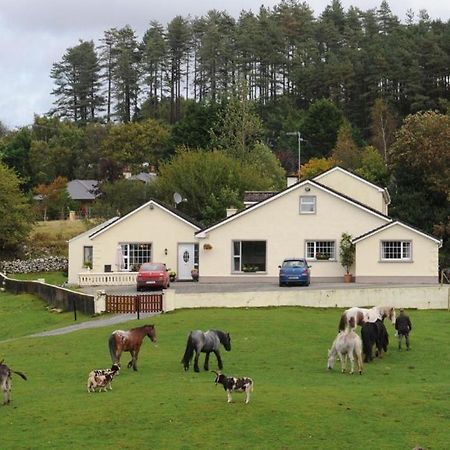 Muckross Riding Stables Villa Killarney Exterior photo