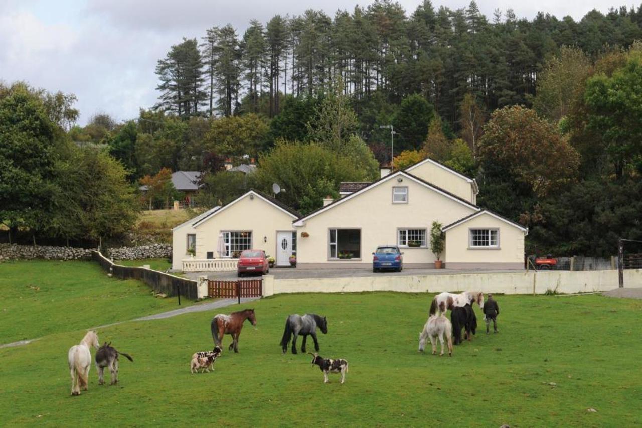 Muckross Riding Stables Villa Killarney Exterior photo