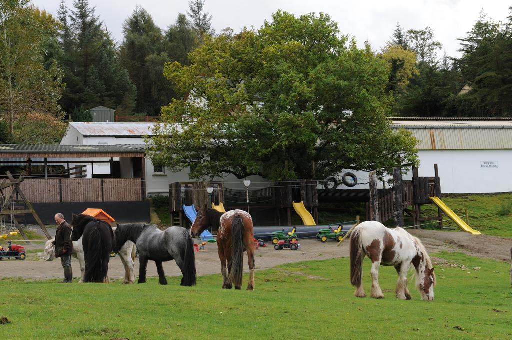 Muckross Riding Stables Villa Killarney Exterior photo