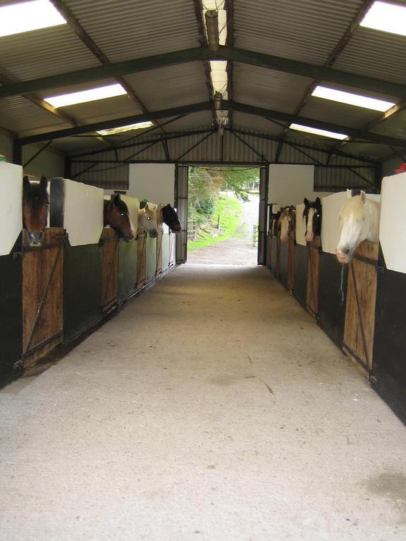 Muckross Riding Stables Villa Killarney Exterior photo