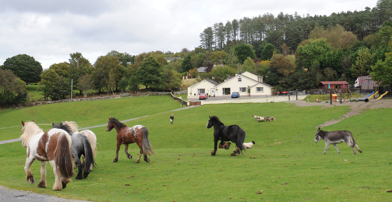 Muckross Riding Stables Villa Killarney Exterior photo