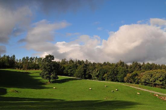 Muckross Riding Stables Villa Killarney Exterior photo