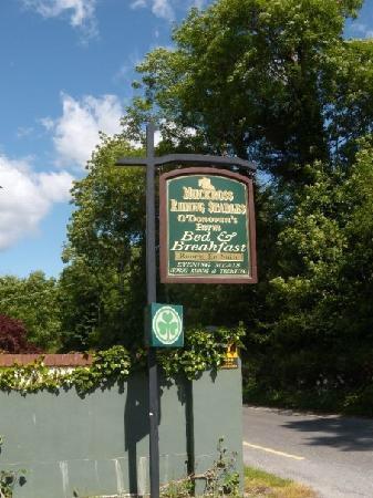 Muckross Riding Stables Villa Killarney Exterior photo